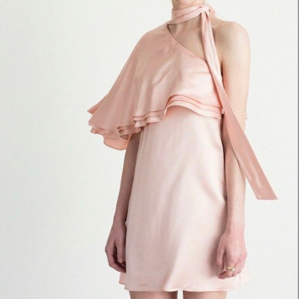 Jill Sturt Pink 1 Shouldered Dress NWOT